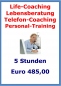 Preview: Ganzheitliches Coaching | 5 Stunden